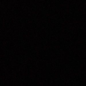 Meet your Posher, Zoe